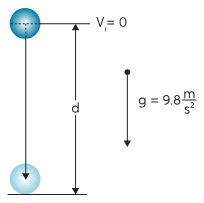 Free Fall Calculator